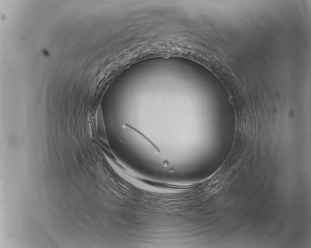 X0000057061490200509231518