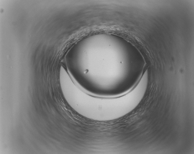 X0000057061492200509231518