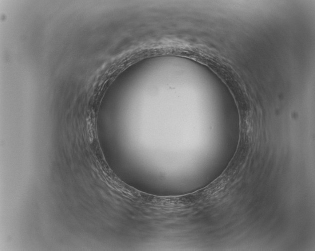 X0000057061493200509231518