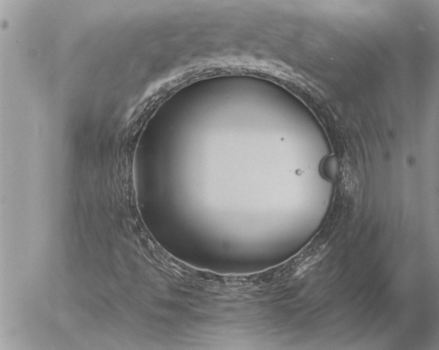 X0000057061494200509231518