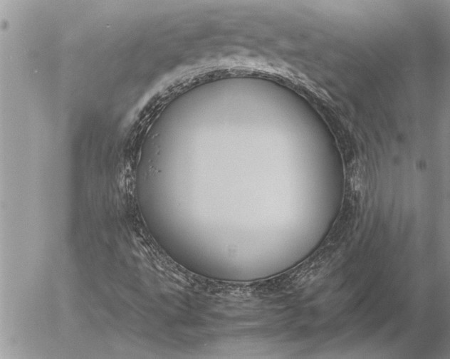 X0000057061495200509231518