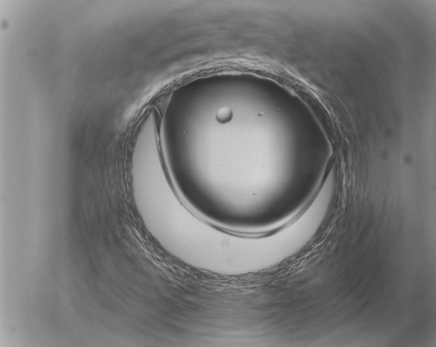 X0000057061496200509231518