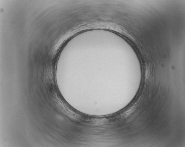 X0000057061498200509231518