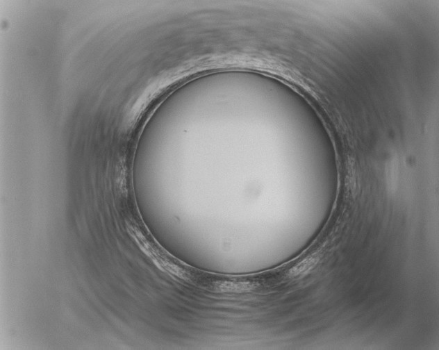 X0000057061499200509231518