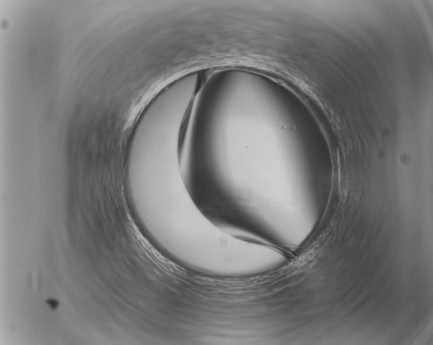 X0000057061500200509231518