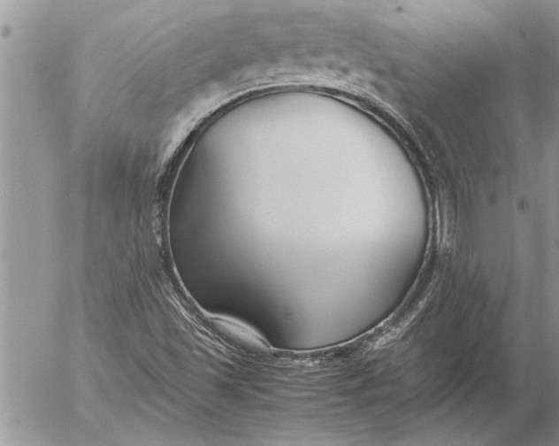 X0000057061501200509231518