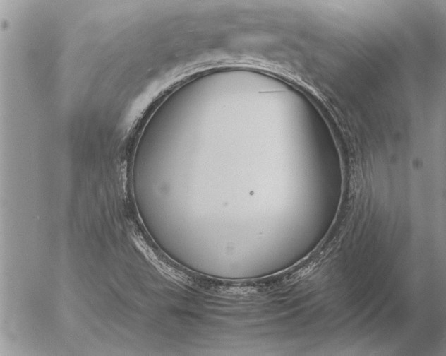 X0000057061503200509231518