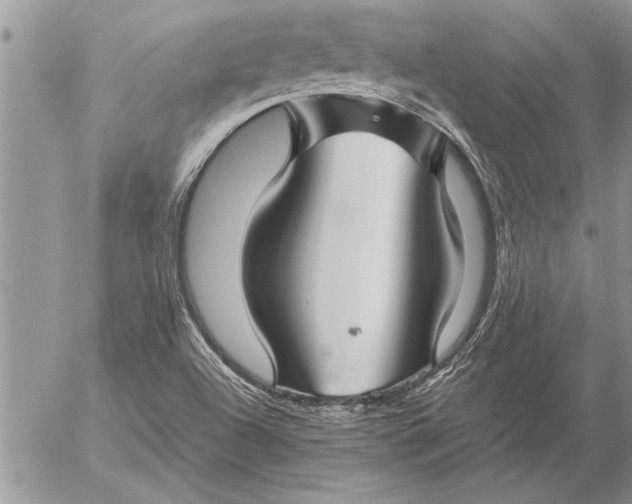 X0000057061504200509231518