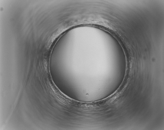 X0000057061505200509231518