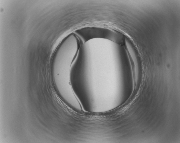 X0000057061506200509231518