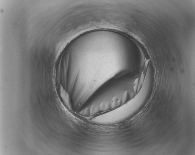 X0000057061508200509231518