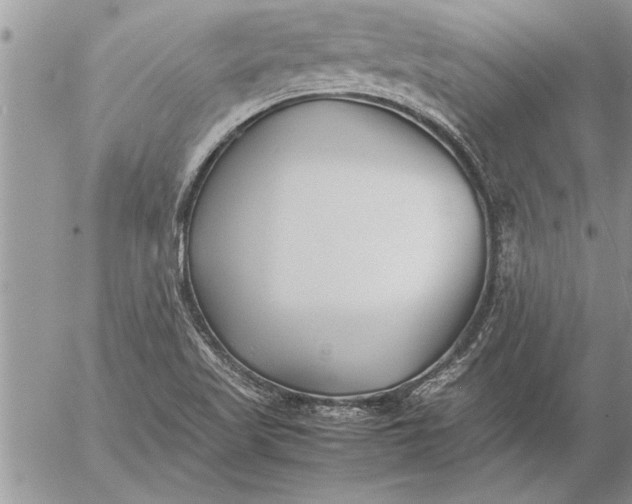 X0000057061509200509231518