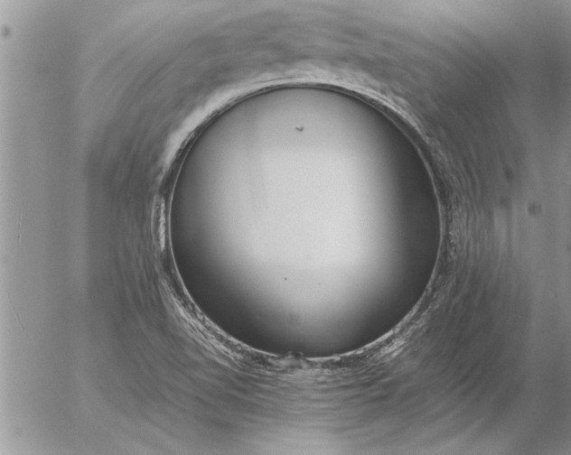 X0000057061510200509231518