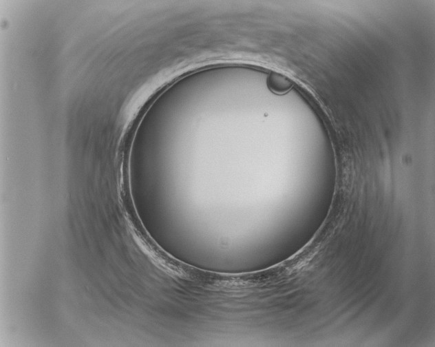 X0000057061511200509231518