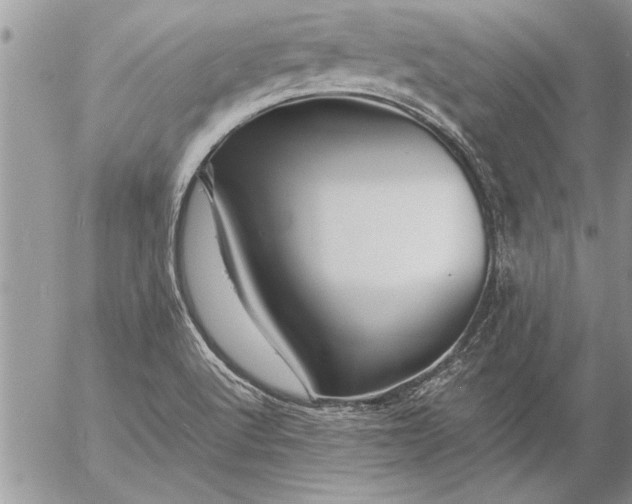 X0000057061512200509231519