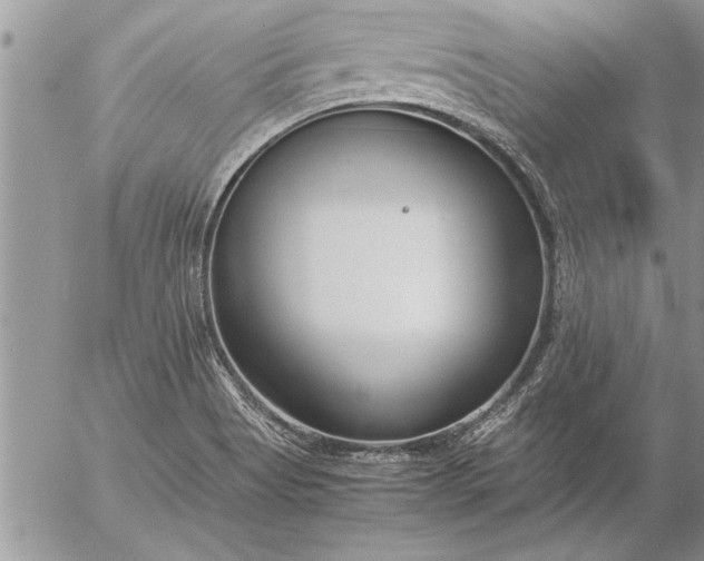 X0000057061513200509231519