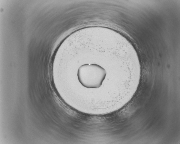 X0000057061514200509231519