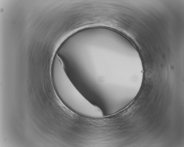 X0000057061516200509231519