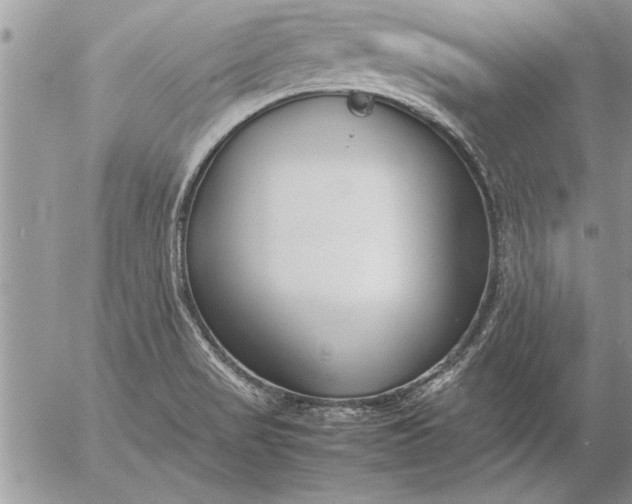 X0000057061517200509231519