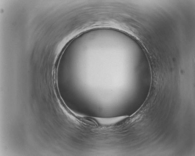 X0000057061519200509231519