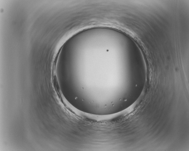 X0000057061520200509231519