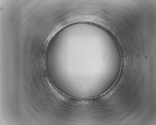 X0000057061521200509231519