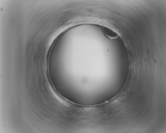 X0000057061523200509231519