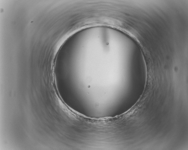 X0000057061524200509231519