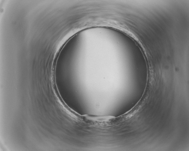 X0000057061525200509231519