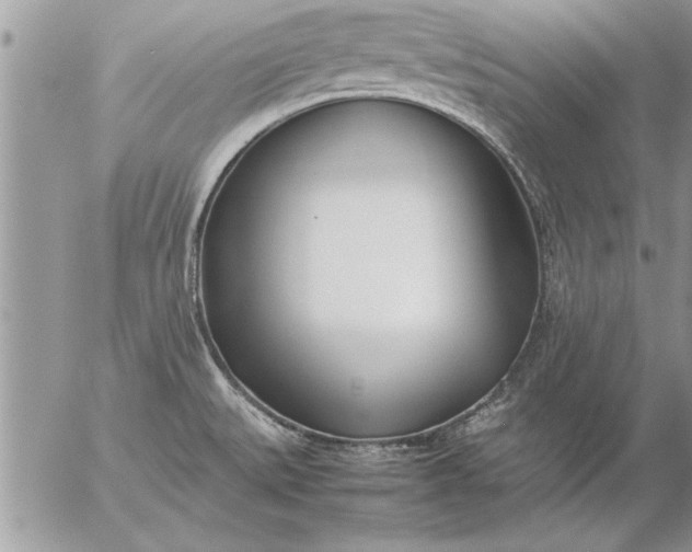 X0000057061527200509231519