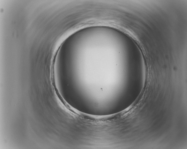 X0000057061528200509231519