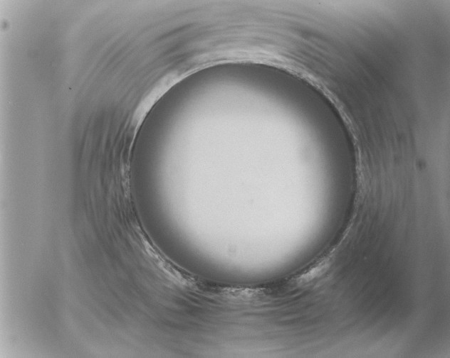 X0000057061529200509231519