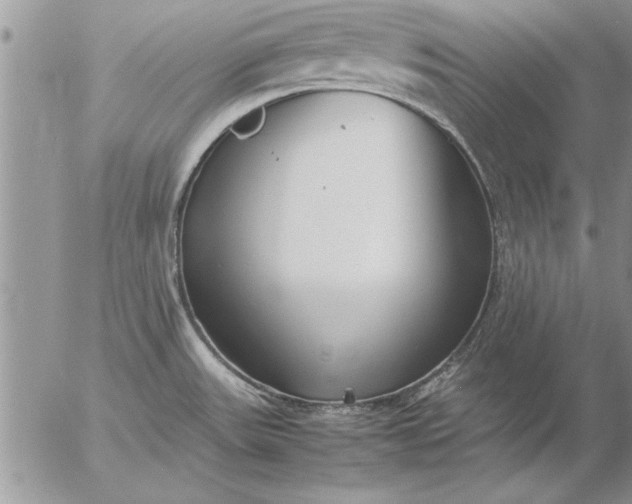 X0000057061531200509231519