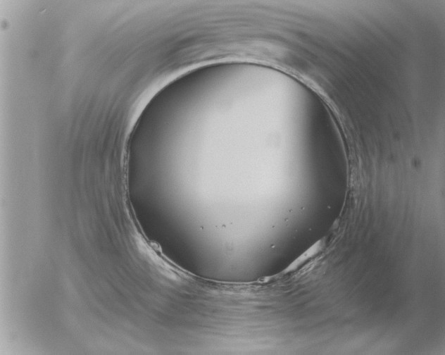 X0000057061532200509231519