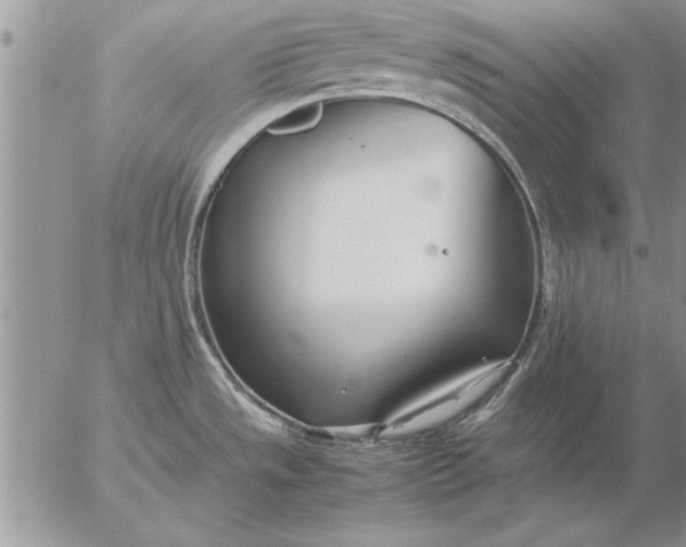 X0000057061533200509231519