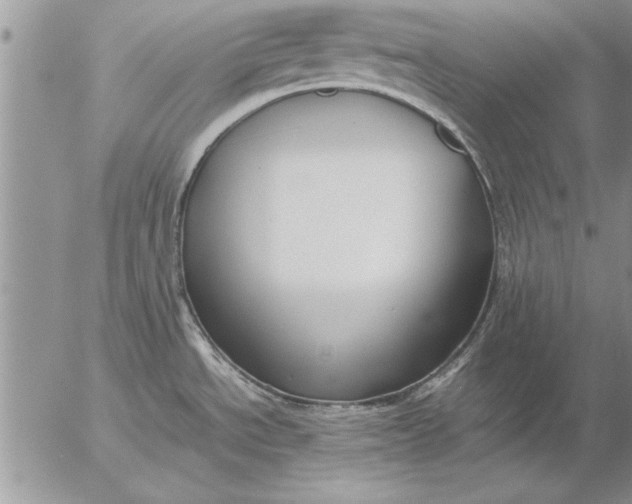 X0000057061534200509231519