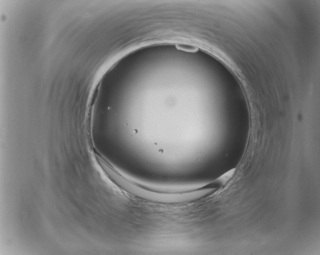 X0000057061536200509231519