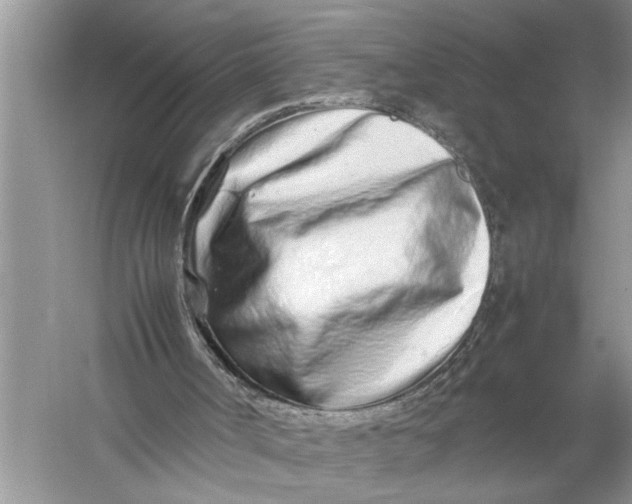 X0000057060002200510010119