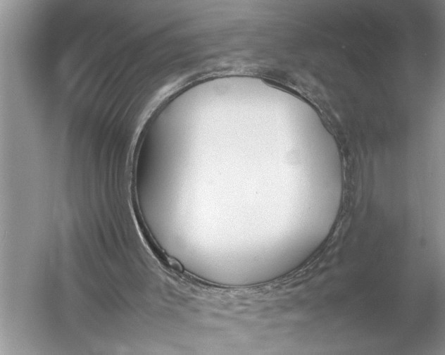 X0000057060003200510010119