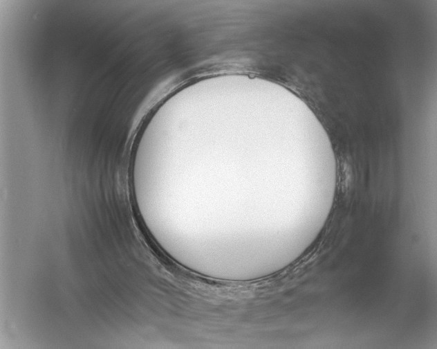 X0000057060004200510010119