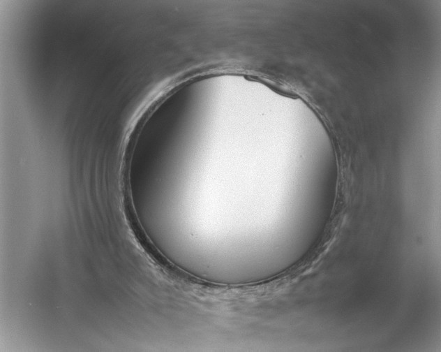 X0000057060007200510010119