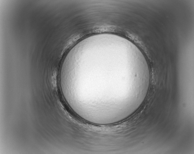 X0000057060010200510010119