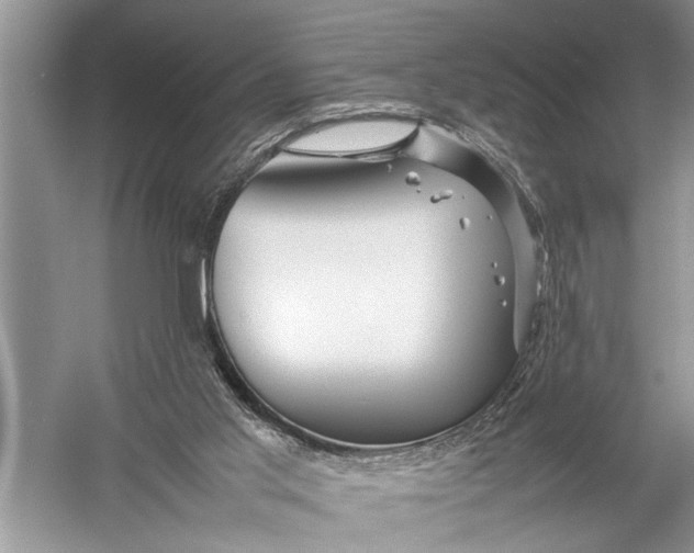 X0000057060013200510010119