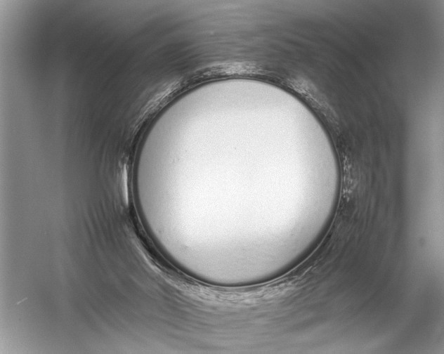 X0000057060014200510010119