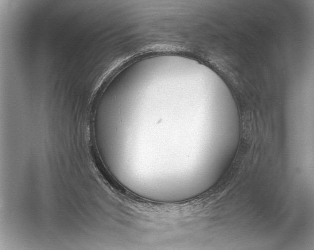 X0000057060015200510010119