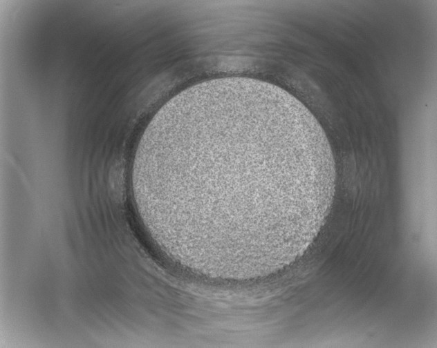 X0000057060016200510010119