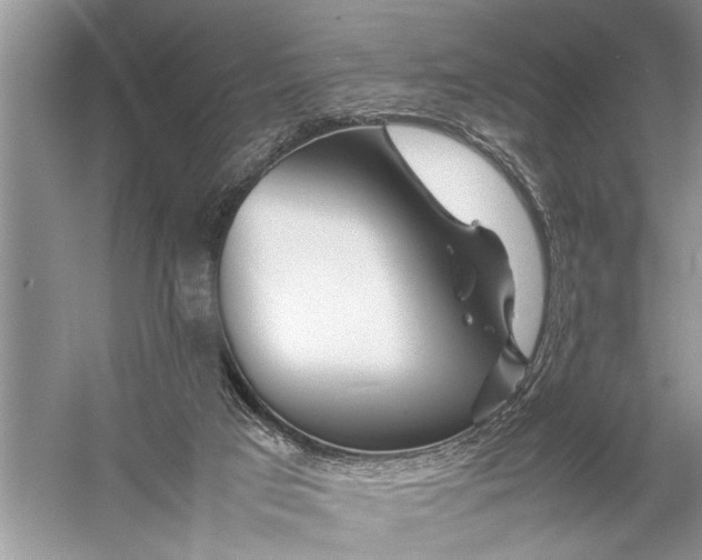 X0000057060017200510010119