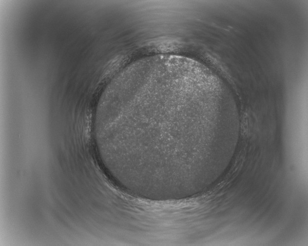 X0000057060018200510010119