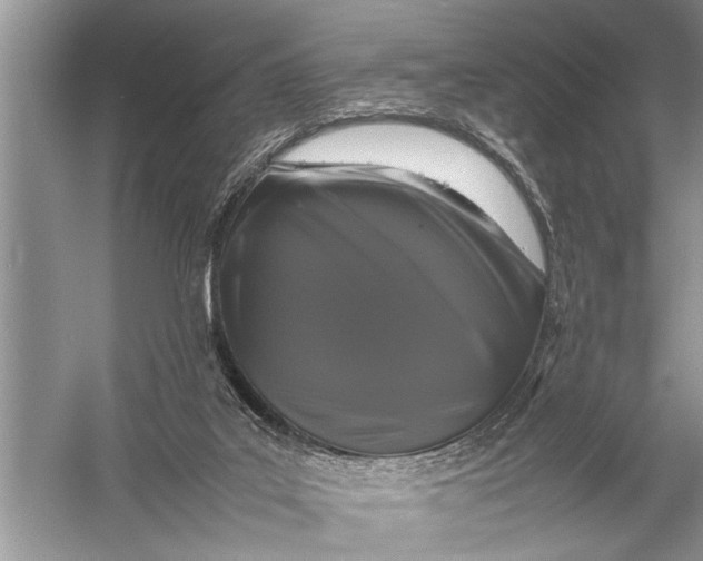 X0000057060019200510010119