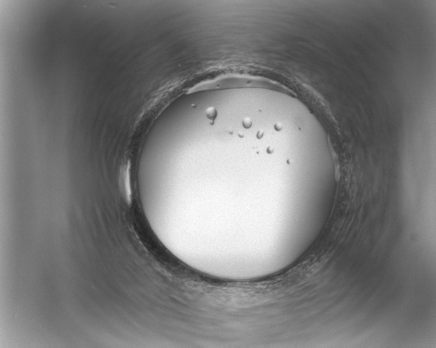 X0000057060020200510010119